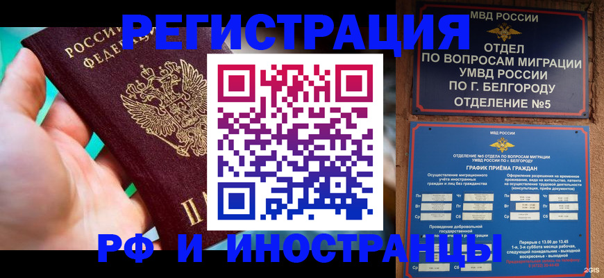 форма 3 в Шадринске